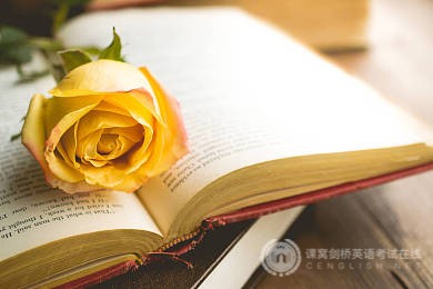 PET口语考试攻略：各种数字的发音规则
