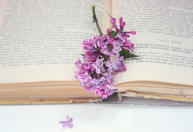 围观：一文全面解析2020年剑桥五级PET改革变化