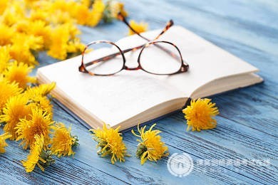 答疑：剑桥少儿英语评分机制与KET、PET的关系