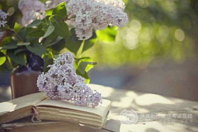 PET写作：关于15分大作文高分秘籍