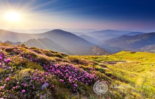 剑桥少儿英语与剑桥国际少儿英语有哪些区别？