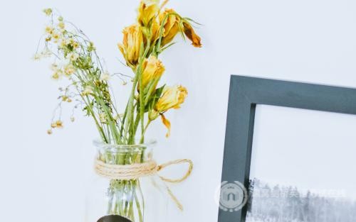 小托福与剑桥英语五级考试有什么不同? 小托福与剑桥英语五级考试有什么不同?