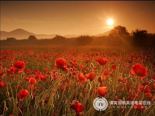 提升FCE阅读考试的有效方法