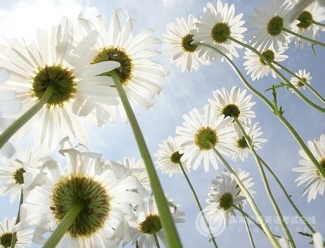 剑桥五级英语FCE新规范摘要