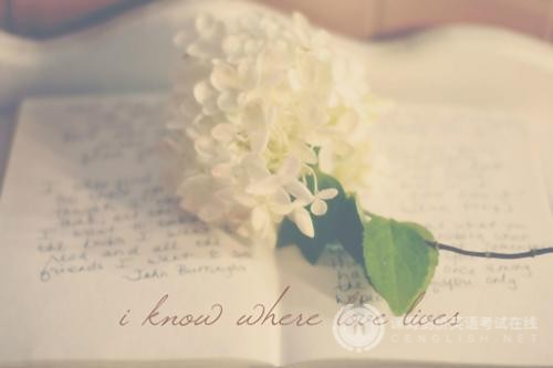 FCE证书有哪些实用价值 FCE证书有哪些实用价值