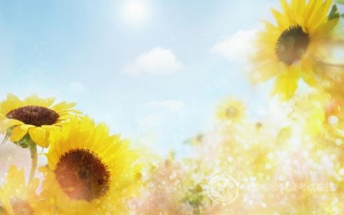 剑桥少儿英语考试须知