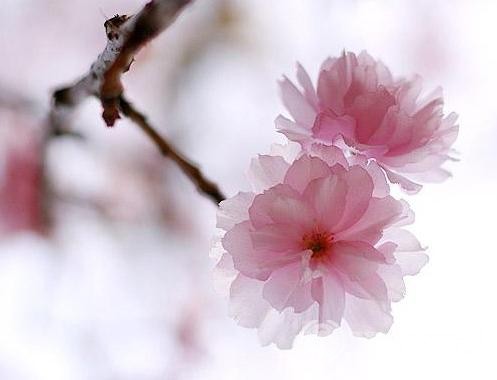 MSE写作考试：定冠词the的用法