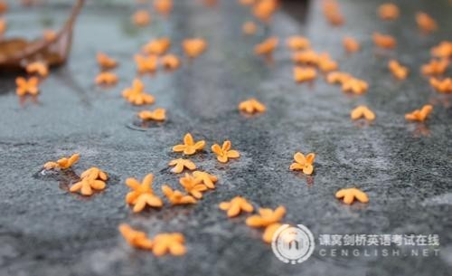 MSE阅读难句背诵：关于浮游动物数量