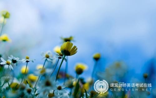 剑桥少儿英语：“年月日”的表达方式