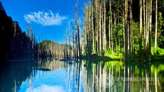 剑桥少儿英语：循序渐进的背诵英语短文