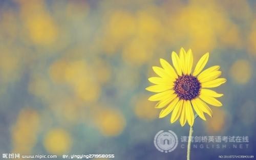 2019年12月7日剑桥五级KET、PET校园版考试网上报名时间调整通知
