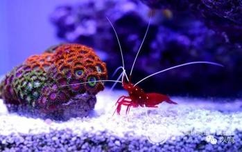 剑桥英语五级考试作文题--教育类（上）