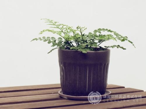 剑桥英语五级考试词汇：黑暗及光线的表达方式