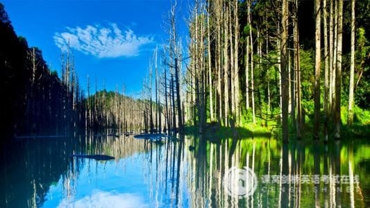 MSE考试PET词汇练习题（上）