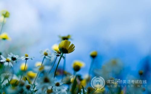 剑桥少儿英语二级考试技巧及备考方法