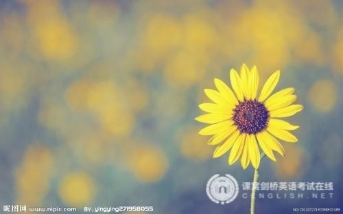 剑桥五级KET考试:写作部分的三个不同题型和解答方式（上）