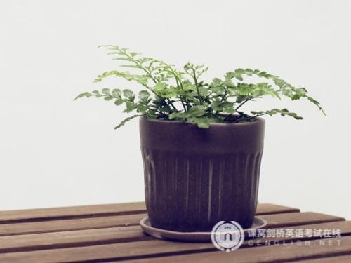 剑桥英语听力长难句,能听懂的6大因素