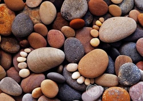 剑桥英语PET考试：英语阅读美文（练习三）