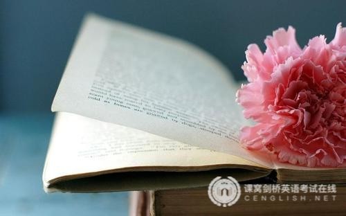 剑桥五级英语考试：陈述句如何改写成一般疑问句（上）