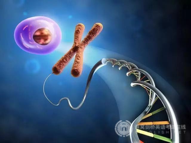 剑桥少儿英语考试：动词suggest的用法