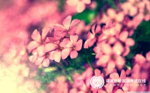 剑桥五级阅读考试中的长难句：采用DNA探子来测定肽激素