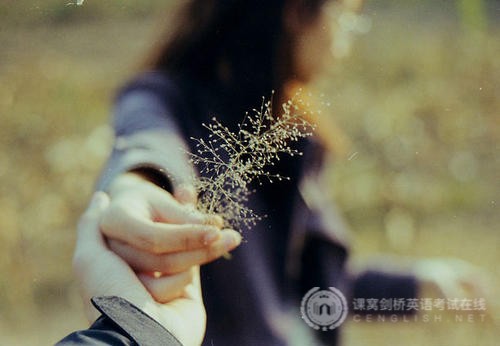 剑桥五级英语：阅读考试中的长难句（每日练习）