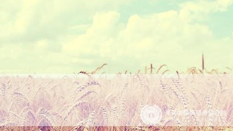 剑桥五级英语：写作考试备考真题练习（1）