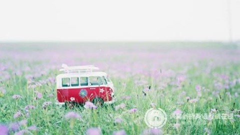 MSE英语作文分类题库----文化类