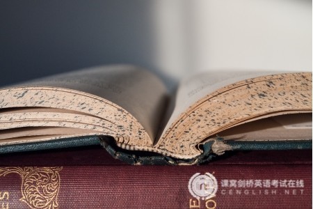 KET/PET语法系列：名词性从句的分类