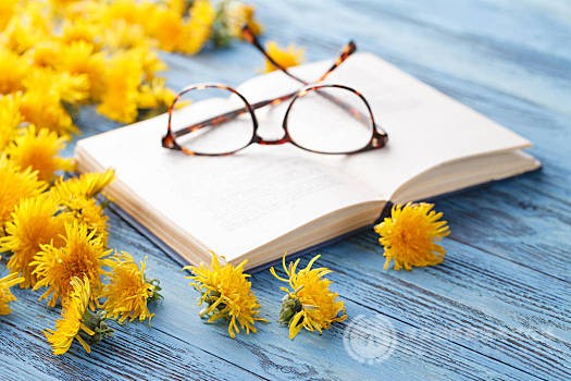 FCE写作要注意逻辑的关联性