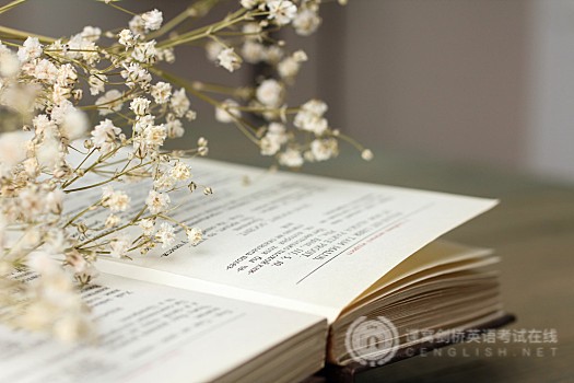 PET话题写作素材：介绍人物