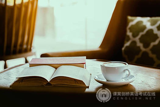 PET作文话题范文：女生经济独立