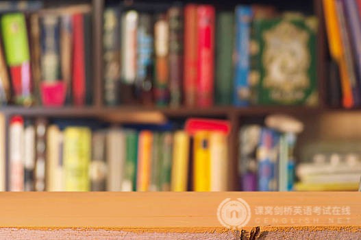 PET书信作文精彩句型