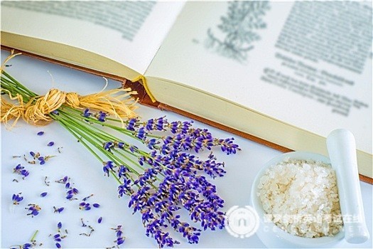  PET写作信件攻略：祝贺信句型