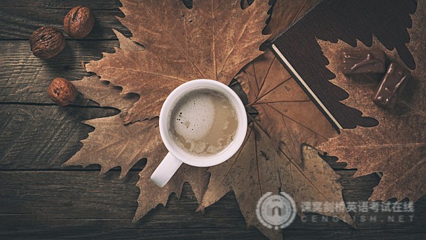 FCE阅读这么难？备考有妙招