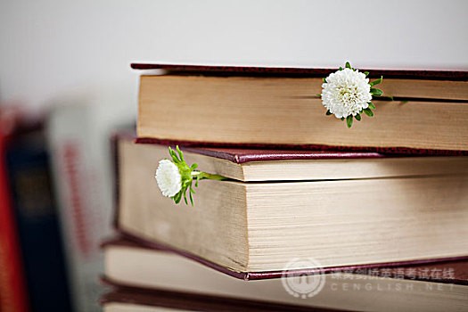 PET阅读想拿高分？如何排除错误选项