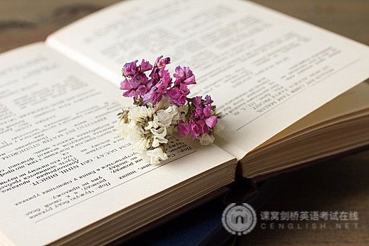 PET听力解题技巧，赶紧收藏学习