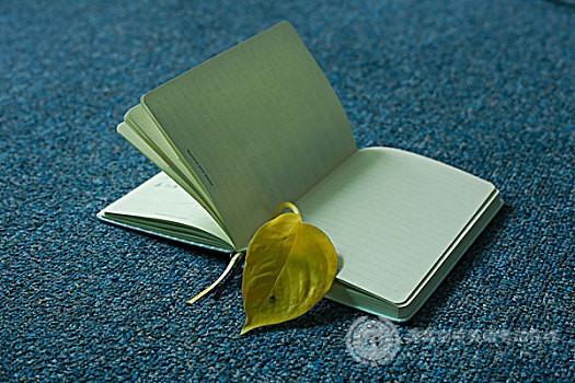 KET词汇积累：福气在英语中有哪些表达方式