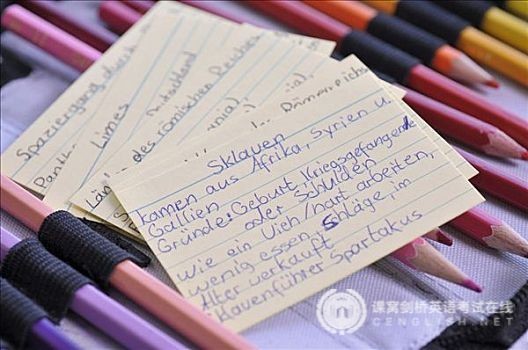 PET核心语法学习：What 引导的从句