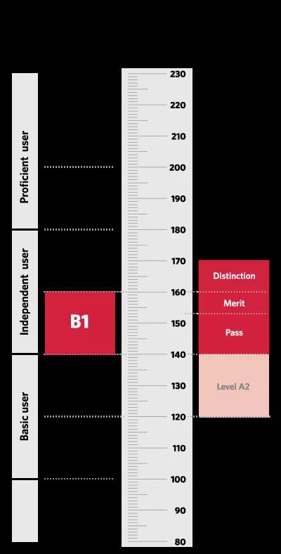 收藏：2020年PET考试改革那些事儿