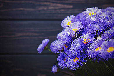 FCE考试到底难在哪里？