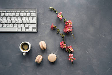 PET口语高分攻略,附常考话题汇总